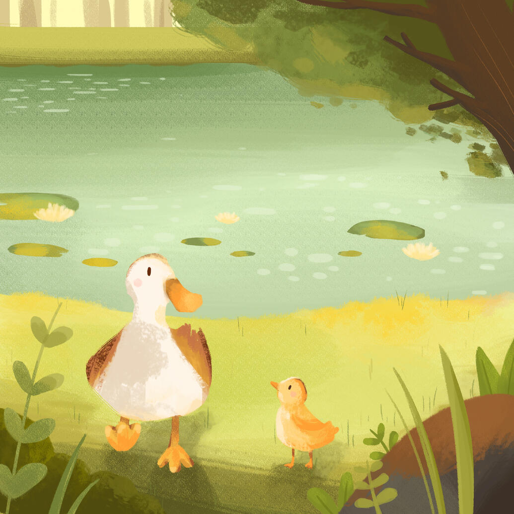 Mother Duck and Baby Duck Mother Duck and Baby Duck