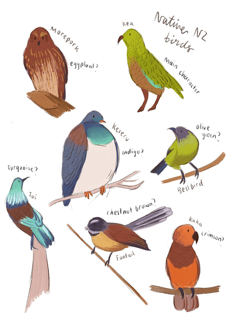 Native bird sketches